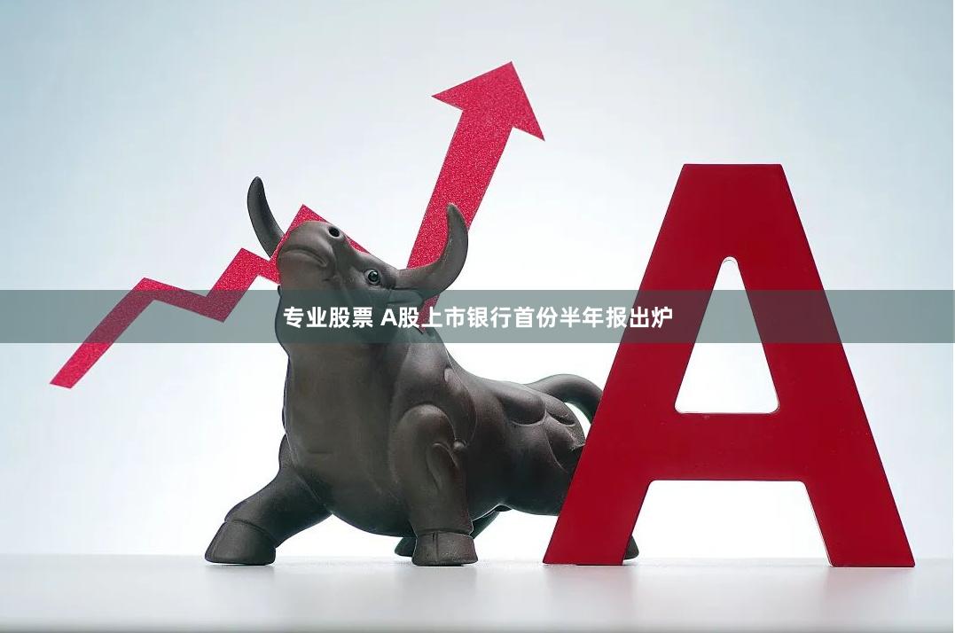 专业股票 A股上市银行首份半年报出炉